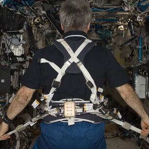 Glenn Harness fabricado por Terrazign, un arnés de alta tecnología para el entrenamiento de astronautas en cinta de correr a bordo de la Estación Espacial Internacional (EEI)